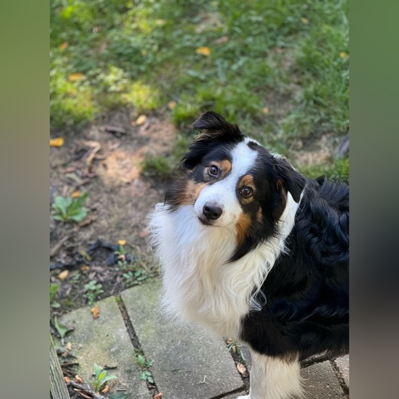 Host Appreciation! - Picture 6 of 7